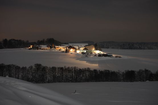 Sägewerk in Straßwalchen